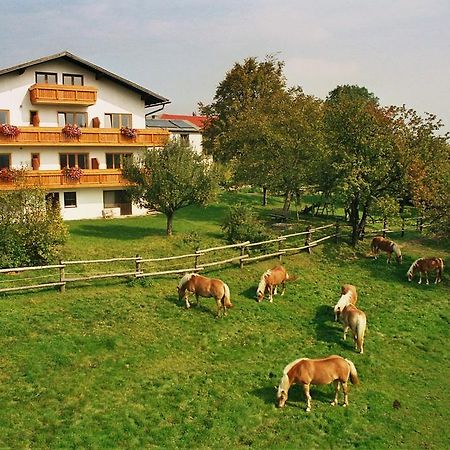 Biobauernhof Wolf-Hof Διαμέρισμα Pressbaum Εξωτερικό φωτογραφία