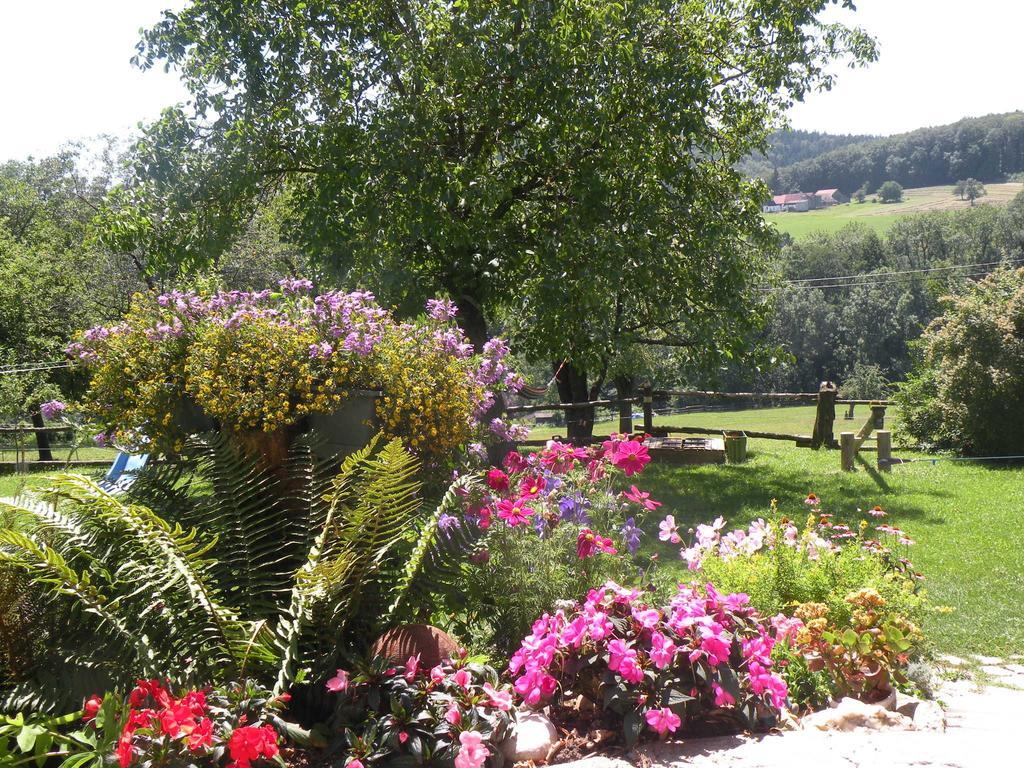 Biobauernhof Wolf-Hof Διαμέρισμα Pressbaum Εξωτερικό φωτογραφία